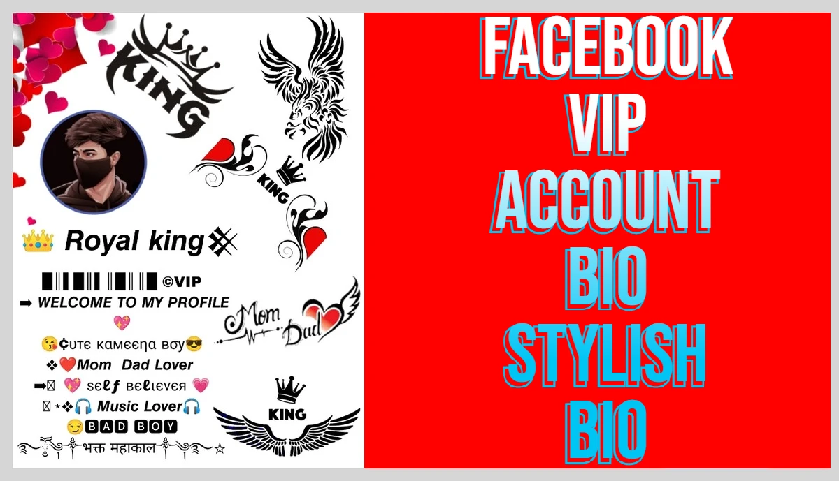 Facebook VIP Account Bio Stylish Bio